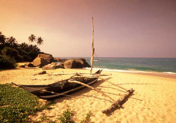 Day 4: Nuwara Eliya - Bentota 