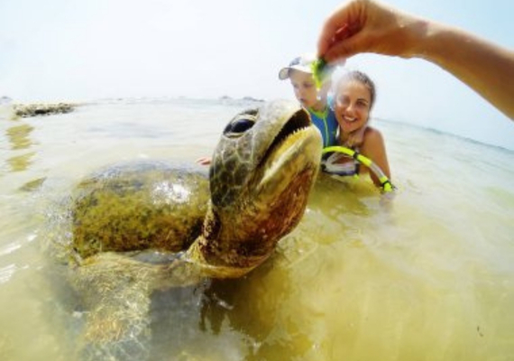 Day 8: Surfing in Arugam Bay 