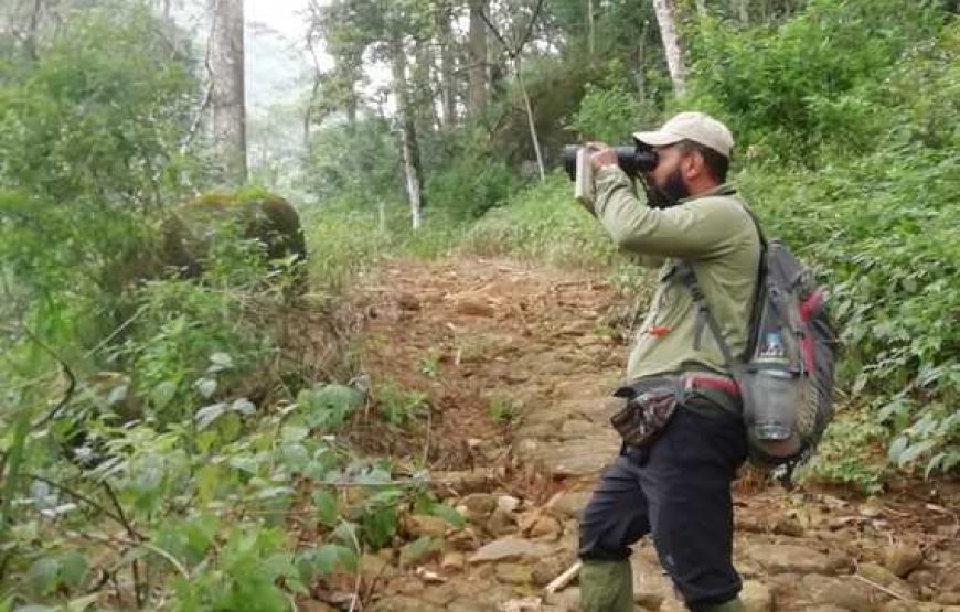 TREKKING AND HIKING